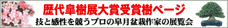 歴代皐樹展大賞受賞樹ページ 技と感性を競うプロの皐月盆栽作家の展覧会