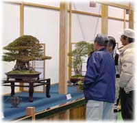 皐樹展（会場）の様子